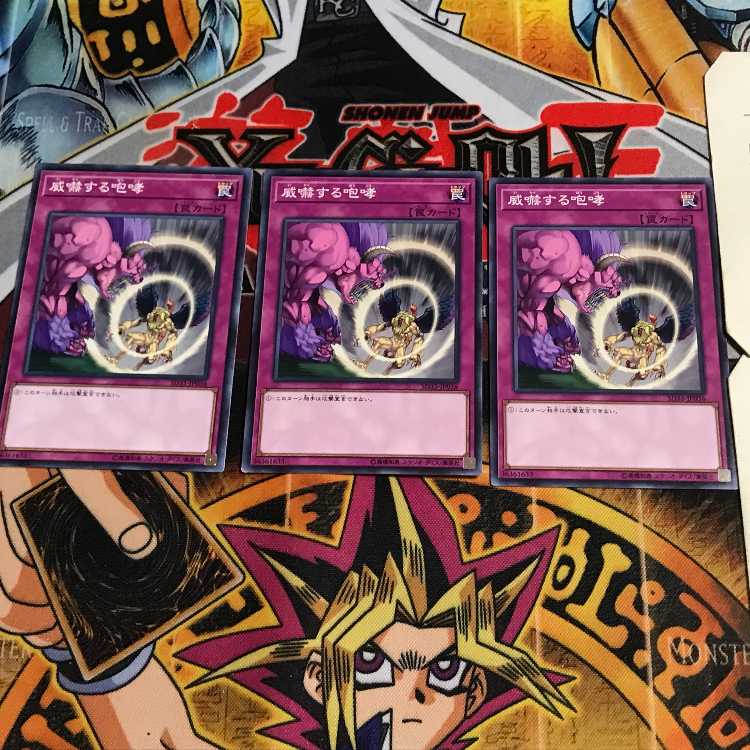 威嚇する咆哮 3 ノーマル 3枚セット てら