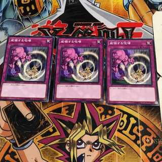 威嚇する咆哮 3 ノーマル 3枚セット てら