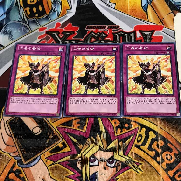 Champion's Vigilance 6 Normal, set of 3 Tera.