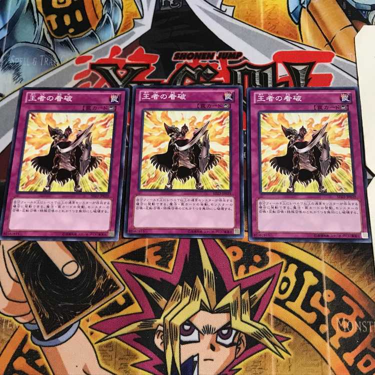 Champion's Vigilance 9 Normal, set of 3 Tera.