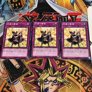 Champion's Vigilance 9 Normal, set of 3 Tera.