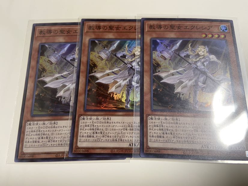 教導の聖女エクレシア