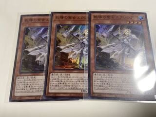 教導の聖女エクレシア