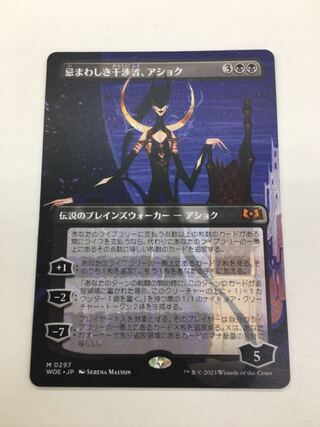 The Abominable Meddler, Ashok