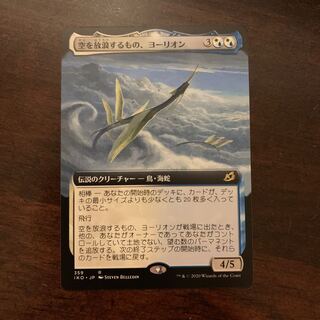 空を放浪するもの、ヨーリオン　拡張