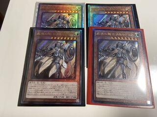 教導の騎士フルルドリス　レリーフ