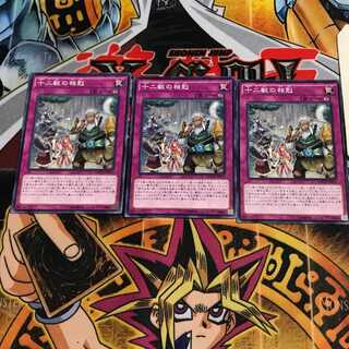 十二獣の相剋 2 ノーマル 3枚セット てら