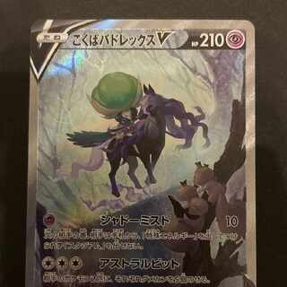 こくばバドレックスV SR: SA