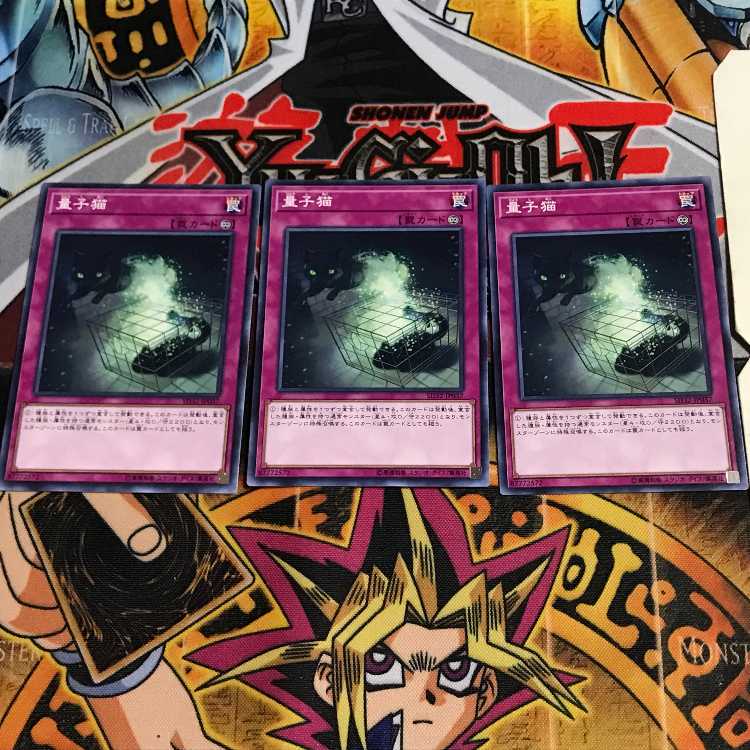 量子猫 3 ノーマル 3枚セット てら