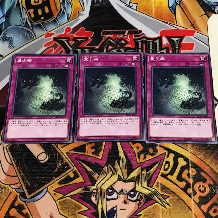 量子猫 5 ノーマル 3枚セット てら