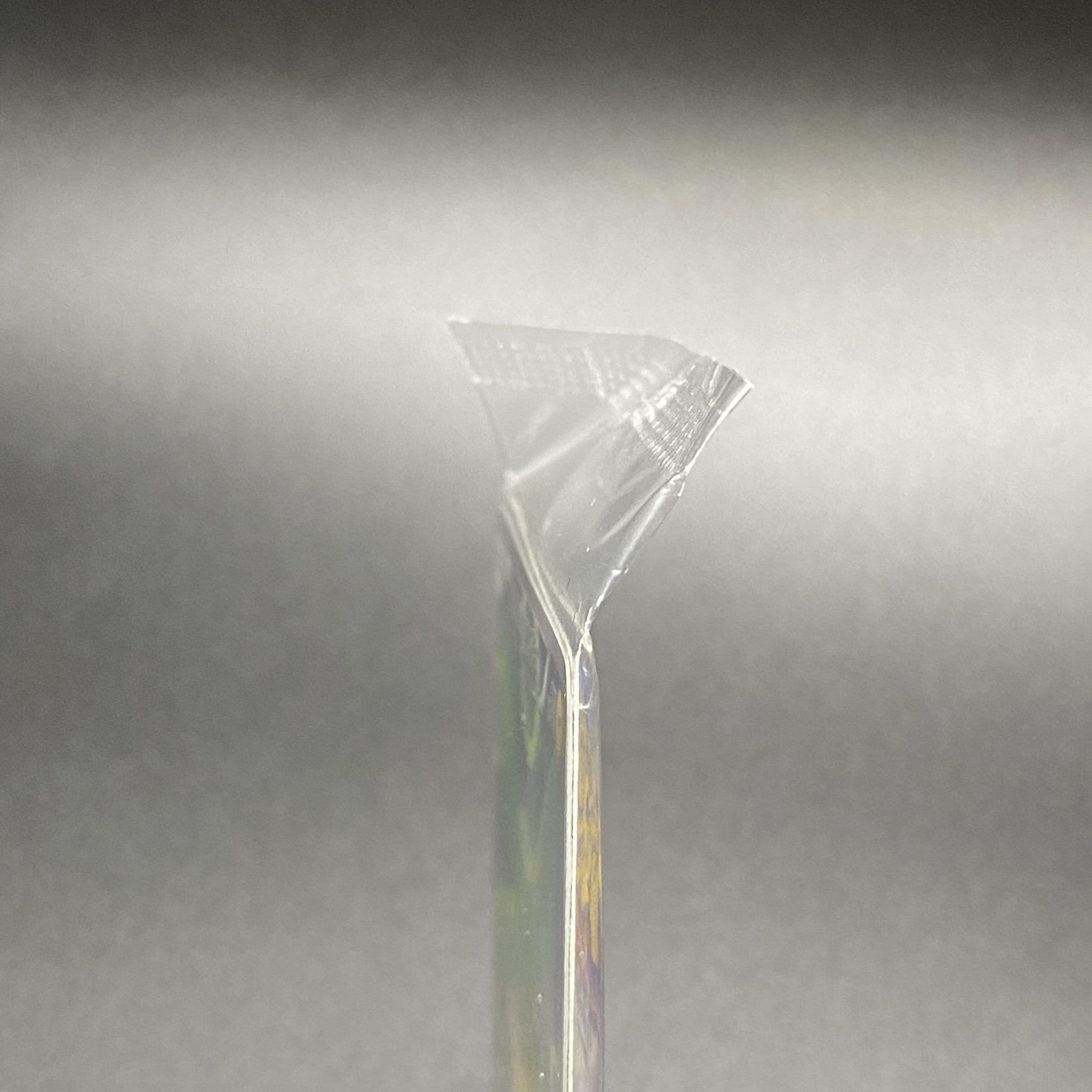 ポンチョを着たピカチュウ PROMO 230/XY-P 未開封