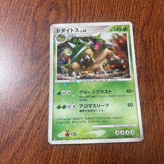 Torterra Lv.13