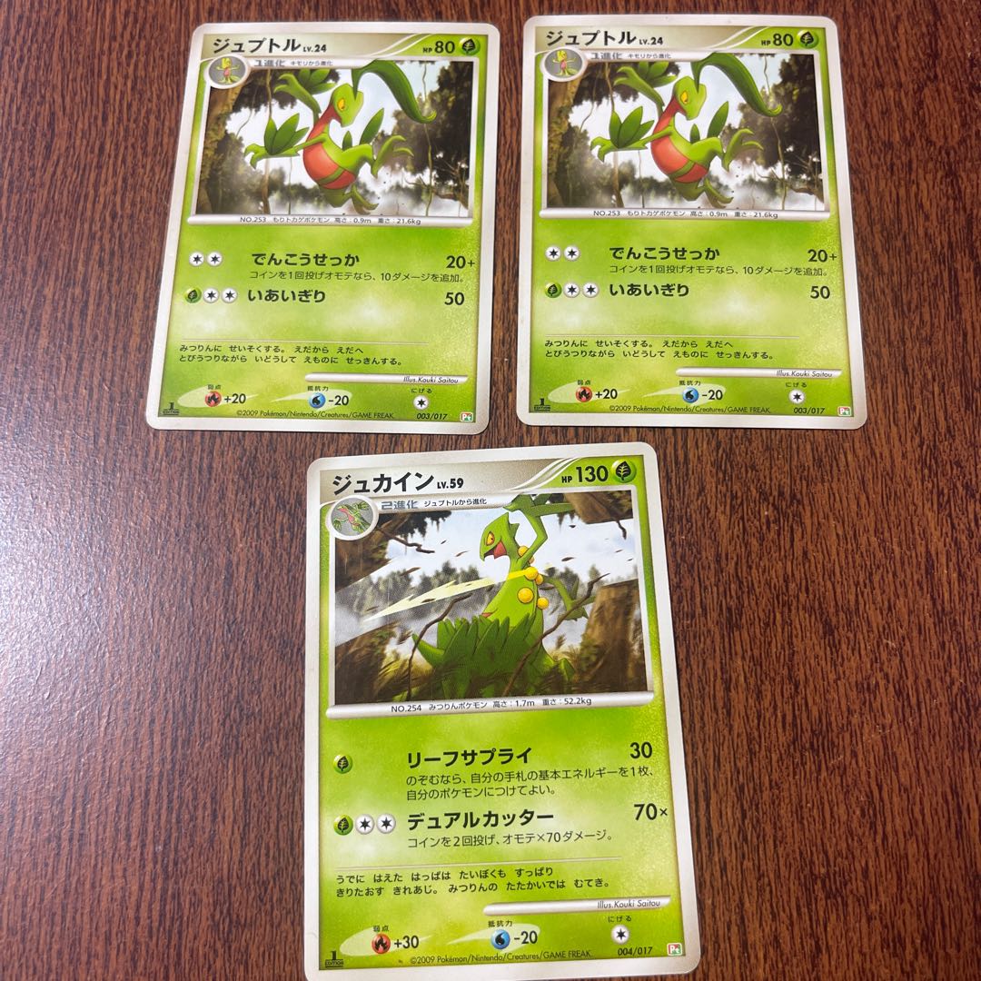 ジュプトル ジュカイン セット