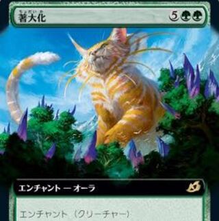 著大化 ショーケース foil 日本語