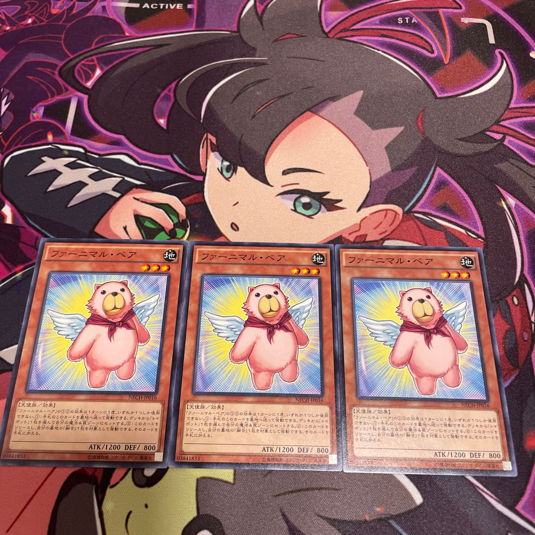 Fluffal Bear Normal JP016