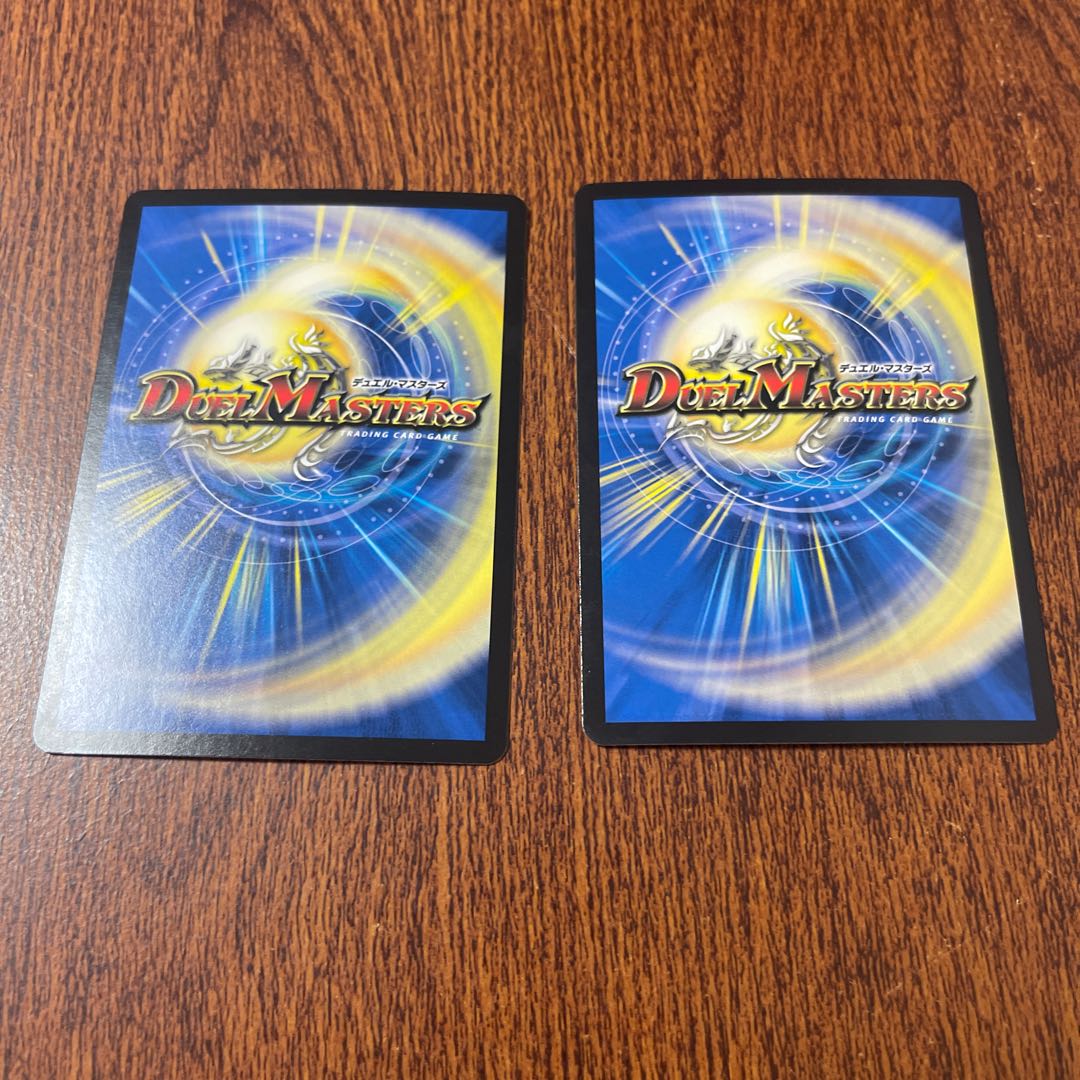 光獅接続 シャウライガー U 39/95