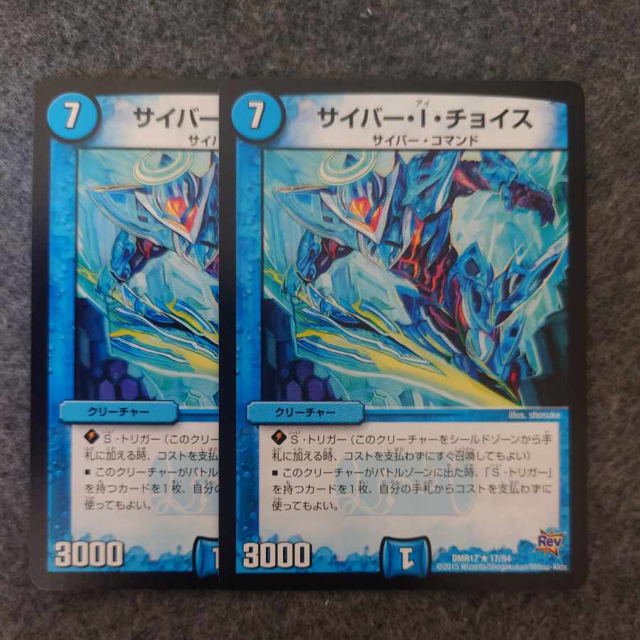 サイバー・I・チョイス R 17/94