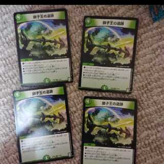 獅子王の遺跡 四枚