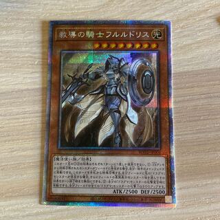 教導の騎士フルルドリス　プリシク