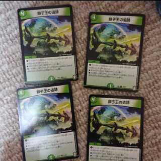 獅子王の遺跡四枚