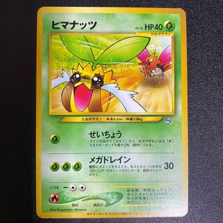 ヒマナッツ 旧裏 プロモーションカード 1枚