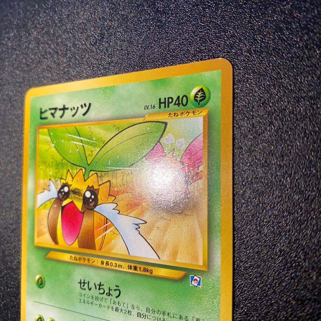 ヒマナッツ 旧裏 プロモーションカード 1枚