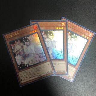 灰流うらら　ウルトラ　3枚セット