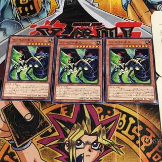 インセクト女王 8 ノーマル 3枚セット てら