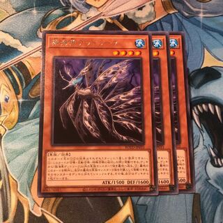 揺海魚デッドリーフ　3枚