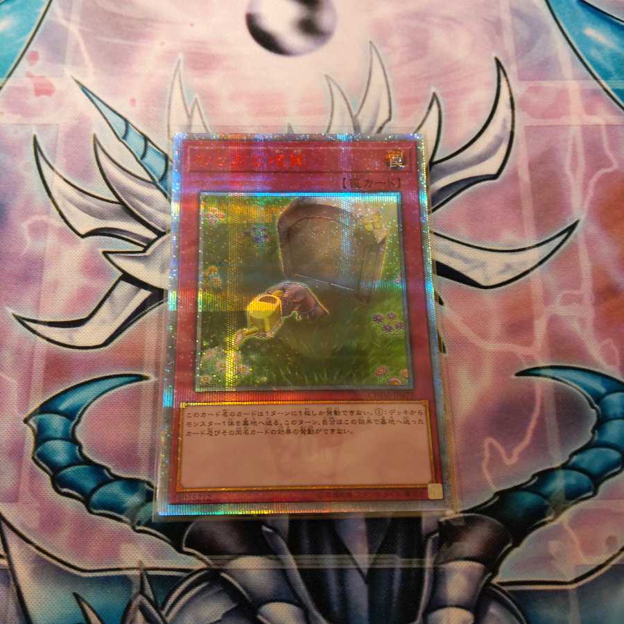 のどかな埋葬 20thシークレット