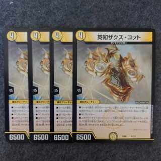 Eich Zaks Cotto 5/????????????