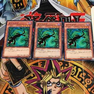 カゲトカゲ 2 ノーマル 3枚セット てら