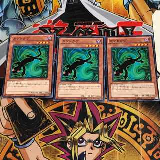 カゲトカゲ 3 ノーマル 3枚セット てら