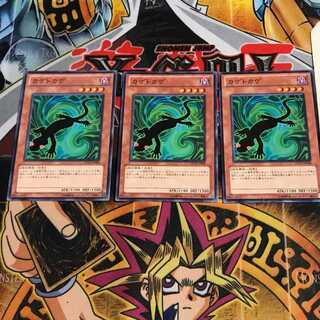 カゲトカゲ 5 ノーマル 3枚セット てら