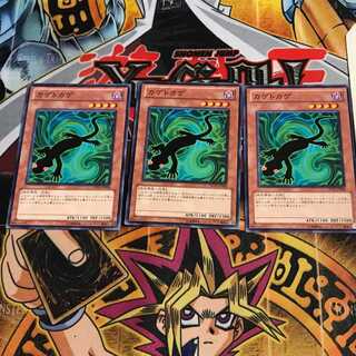 カゲトカゲ 6 ノーマル 3枚セット てら