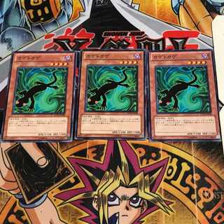 カゲトカゲ 7 ノーマル 3枚セット てら