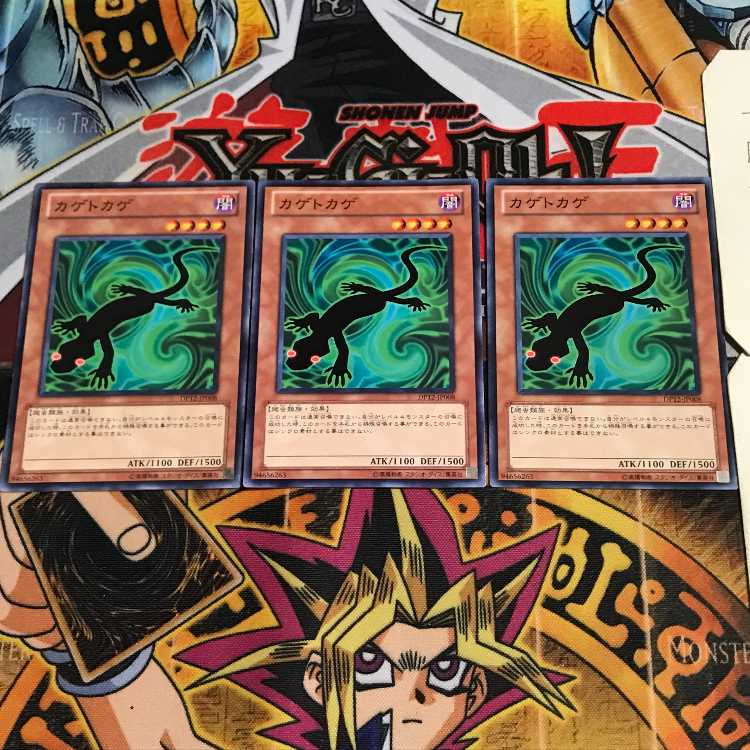 カゲトカゲ 9 ノーマル 3枚セット てら