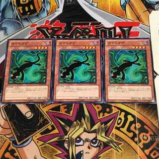 カゲトカゲ 9 ノーマル 3枚セット てら