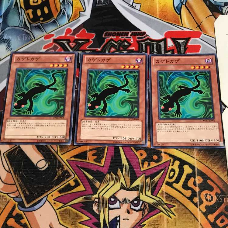 カゲトカゲ 10 ノーマル 3枚セット てら