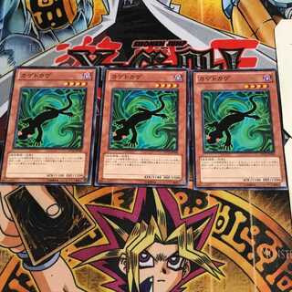 カゲトカゲ 10 ノーマル 3枚セット てら