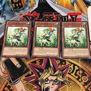 ガスタの神裔ピリカ 2 ノーマル 3枚セット てら