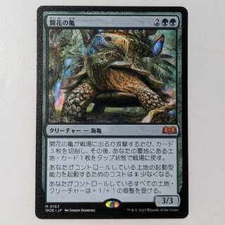 開花の亀 (日本語版) 1枚