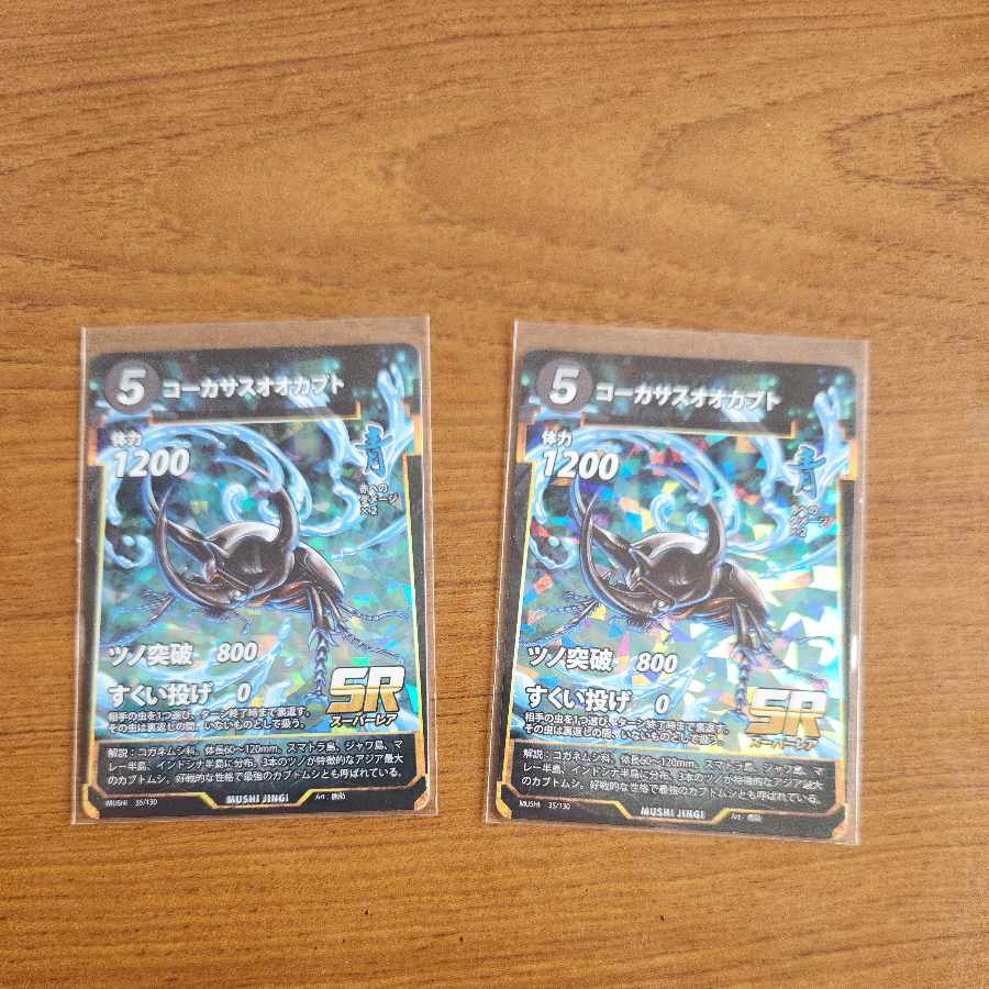 SR コーカサスオオカブト