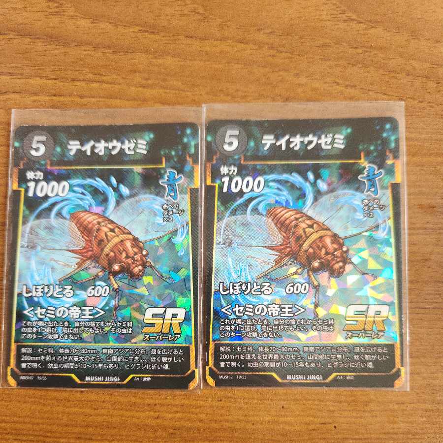 SR テイオウゼミ