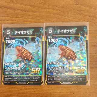 SR テイオウゼミ