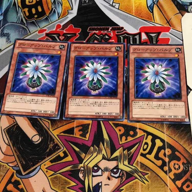 グローアップ・バルブ 1 ノーマル 3枚セット てら