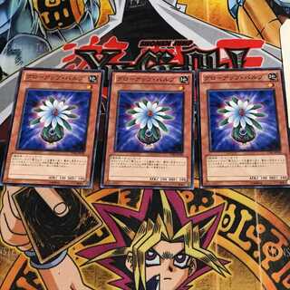 グローアップ・バルブ 4 ノーマル 3枚セット てら