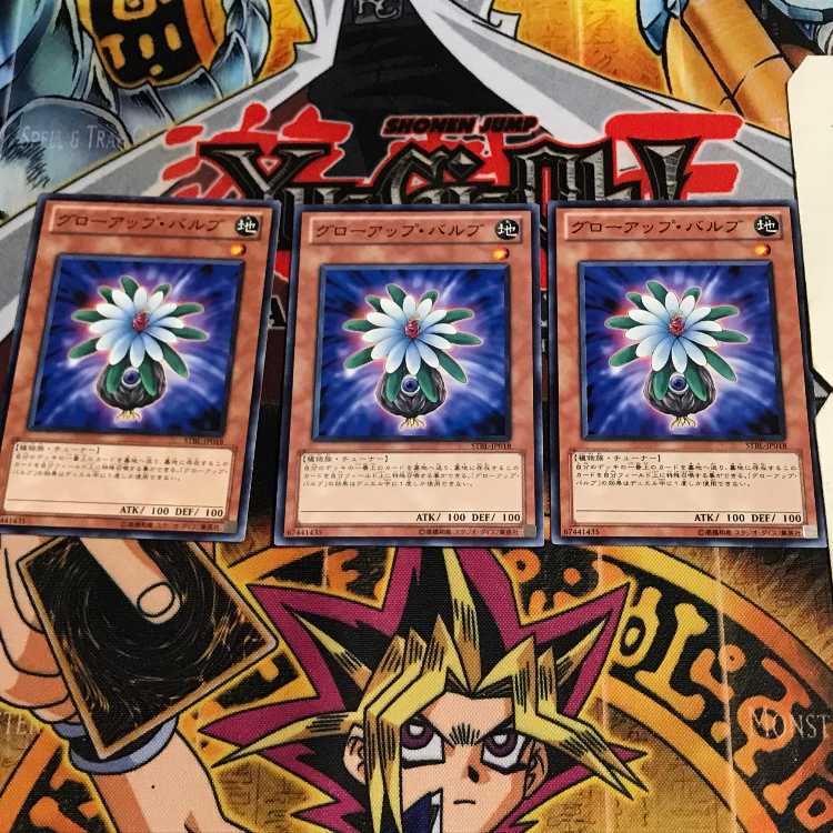 グローアップ・バルブ 5 ノーマル 3枚セット てら