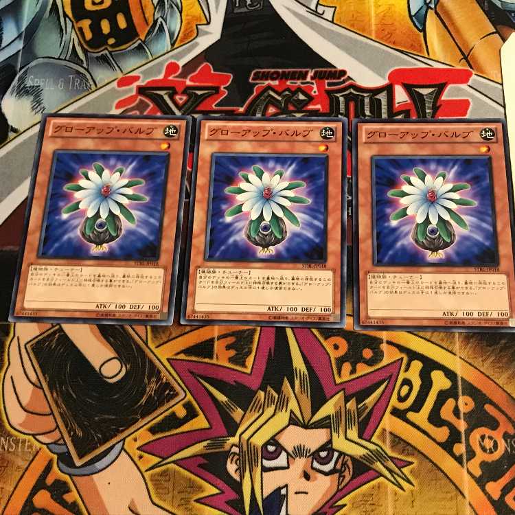 グローアップ・バルブ 9 ノーマル 3枚セット てら