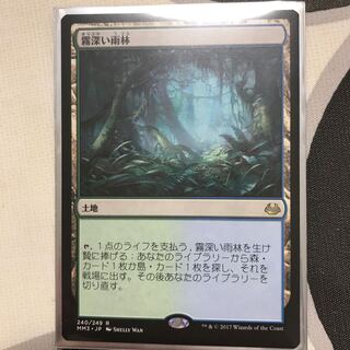 霧深い雨林 日本語